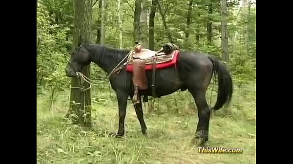 Japanese Army Forest