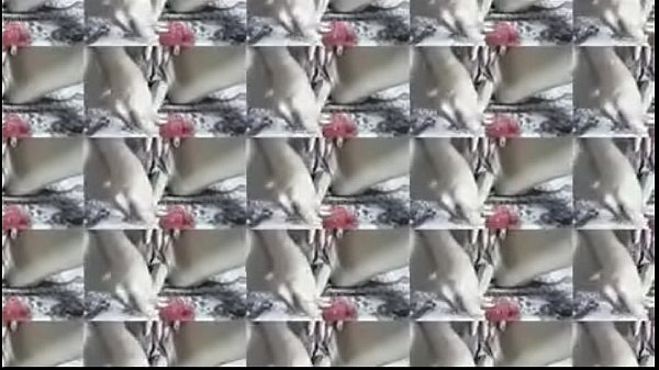 Indian Nabalik Sex